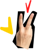 Icône